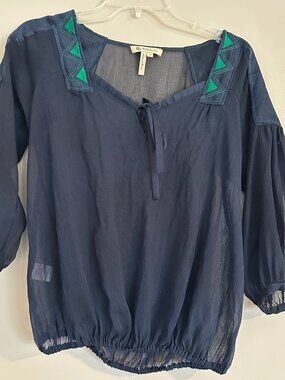 BCBG blue sheer top